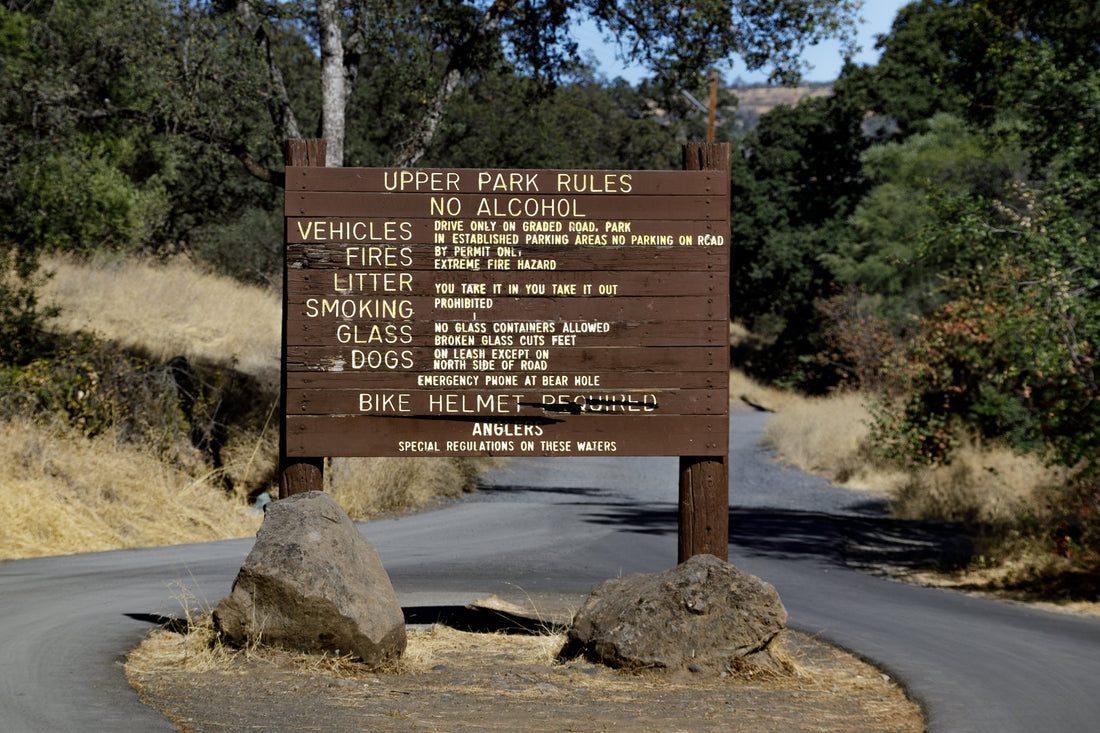 Visiting Chico, California ? Here are a few of my favorite places!