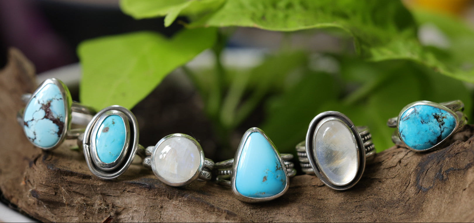Set of turquoise and silver rings on a wooden surface with green leaves in the background